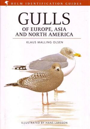 GULLS OF EUROPE, ASIA AND NORTH AMERICA *