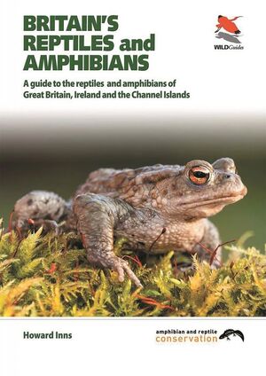 BRITAIN'S REPTILES AND AMPHIBIANS *