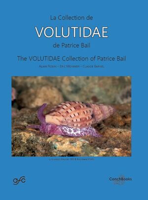 LA COLLECTION DE VOLUTIDAE DE PATRICE BAIL (EN/FR) *