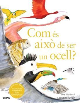 COM ÉS AIXÒ DE SER UN OCELL? *