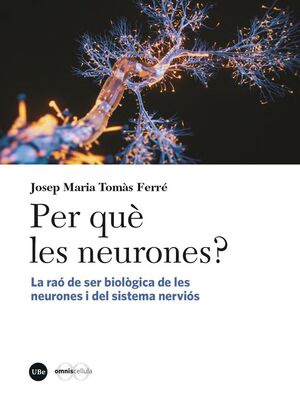 PER QUÈ LES NEURONES? *