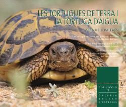 LES TORTUGUES DE TERRA I LA TORTUGA D?AIGUA A LES ILLES BALEARS