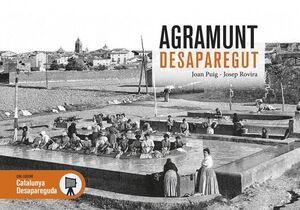 AGRAMUNT DESAPAREGUT *