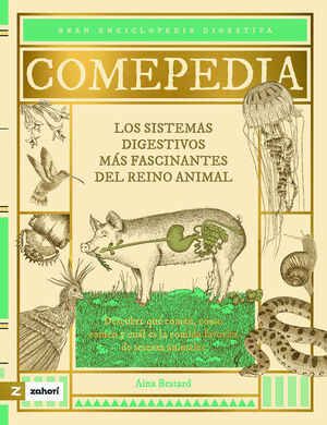 COMEPEDIA *