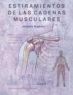 ESTIRAMIENTOS DE LAS CADENAS MUSCULARES *